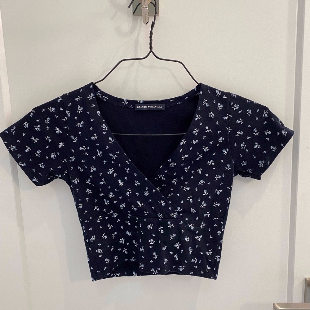 Brandy Melville Crop Top